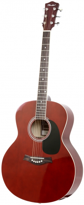 T.Burton Greengo J C TRD acoustic guitar