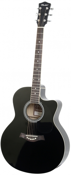 T.Burton Greengo J C BK acoustic guitar