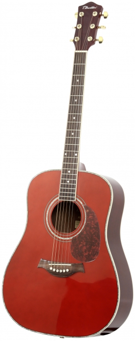 T.Burton Passage W TRD acoustic guitar