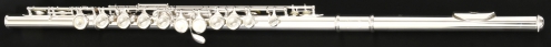Yamaha YFL211SL Flute w/Case