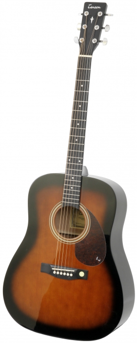 Tenson 501302 acoustic guitar