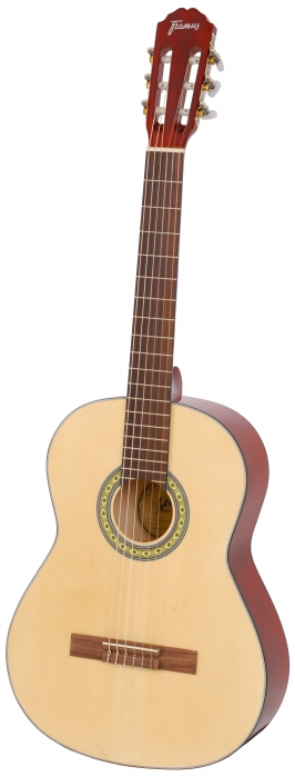 Framus CL Ideal 4/4 classical guitar (bag)