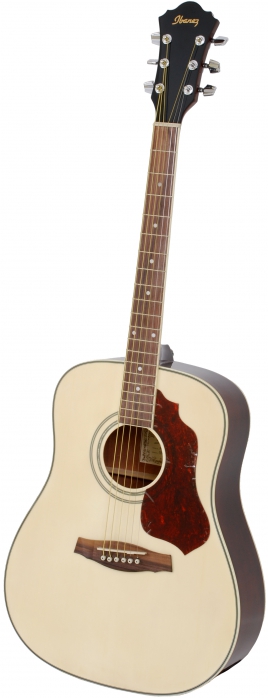 Ibanez SGT 120 NT acoustic guitar