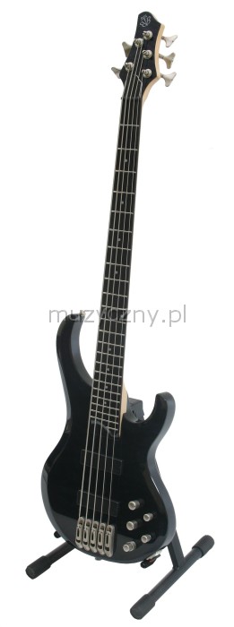 ibanez btb455qm