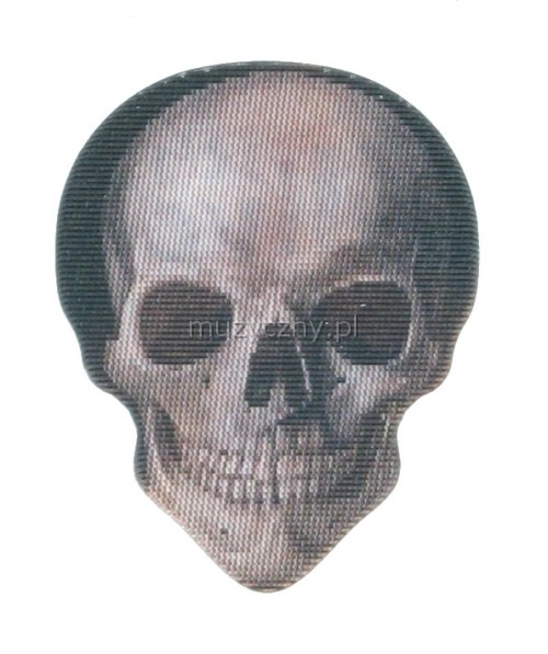 HotPicks LP24 Flame Skull guitar pick