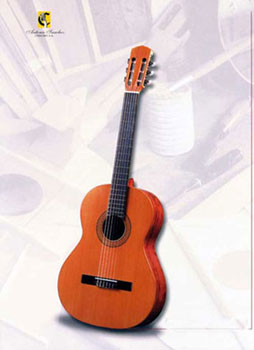 Sanchez S-10 classical guitar