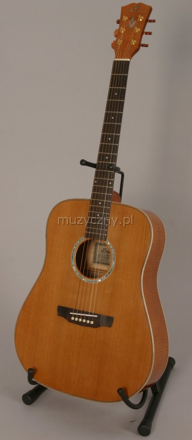 Dowina D2016 acoustic guitar