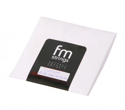 FMStrings Custom electric guitar strings 12-60