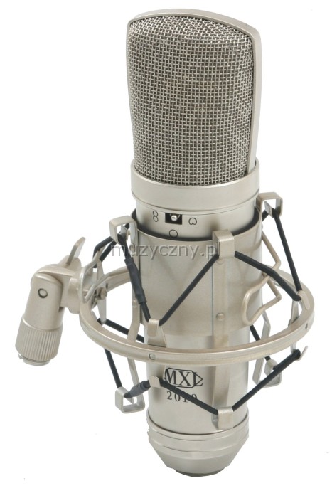 MXL 2010 Mogami condenser microphone