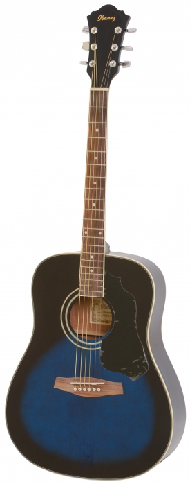 Ibanez SGT 120 TB acoustic guitar