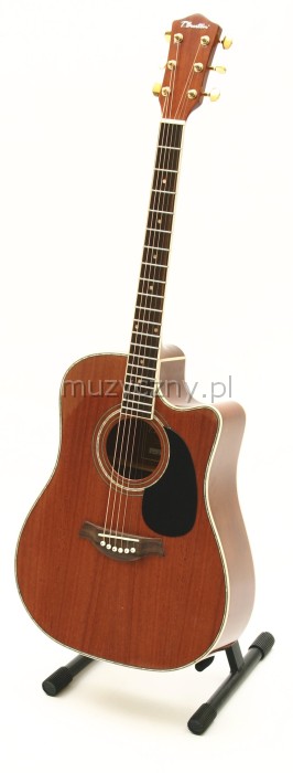 T.Burton W-34C/N acoustic guitar cutaway