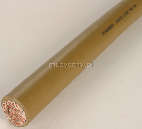 Pinanson 312 multicore audio live 32p Pinanson 312 multicore audio live 32p