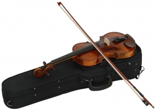 Paesold AS-160V 4/4 violin (set)