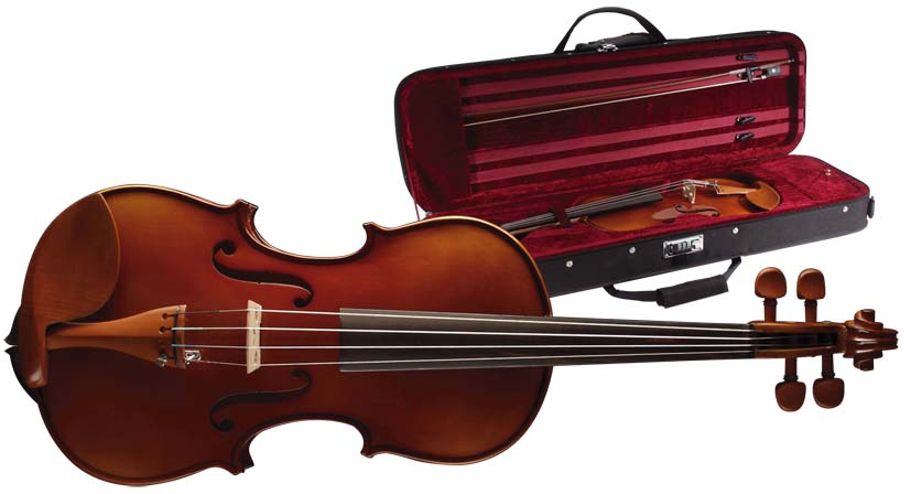 Stagg VN 4/4 Solid Maple Violin