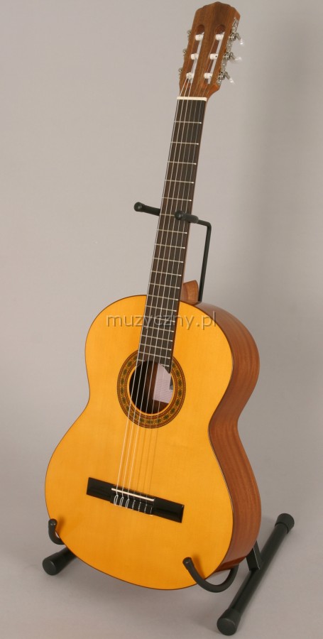 Aragon MA09 Acoustic Guitar