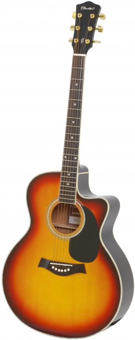 T.Burton Forresthill J CE BS acoustic guitar with EQ