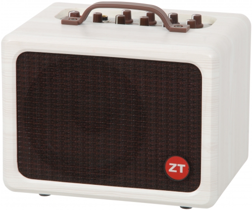 ZT Lunchbox Acoustic mini