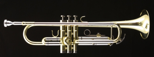 Trevor James TJTR-2500 Bb trumpet with case, lacquered
