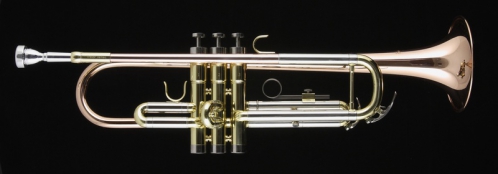 Trevor James TJTR-4500 Bb trumpet, laquered (with case)