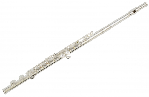 Trevor James 31PF-E Flute with case