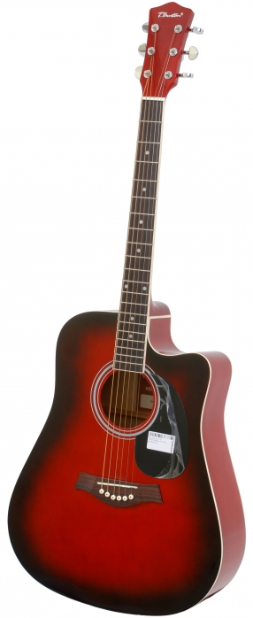 T.Burton Greengo W C TRD acoustic guitar