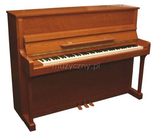 AN T.Piano Up 113 piano (cherry)