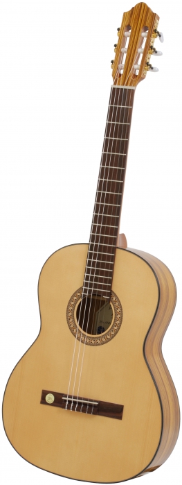 Gewa Pro Arte 500035 classic guitar