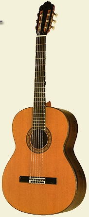 Esteve 1GR08 classical guitar