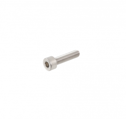 Amex M4 hex screw 20mm silver, for panel connectors