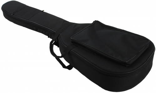 Ewpol acoustic guitar with EQ bag