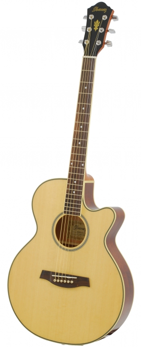 Ibanez AEG8E NT