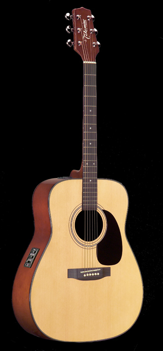 takamine eg 240