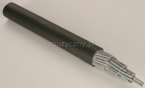 Pinanson 1635 OFC multicore 42 pairs Pinanson 1635 OFC multicore 42 pairs