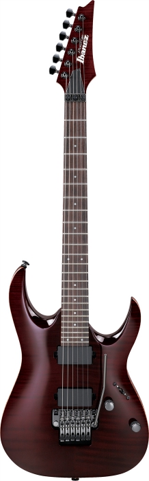 Ibanez RGA 420Z PRT electric guitar