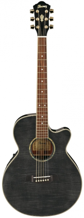 Ibanez AEG20E TG acoustic guitar
