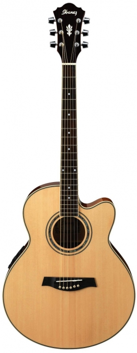 Ibanez AEL10E NT electro-acoustic guitar