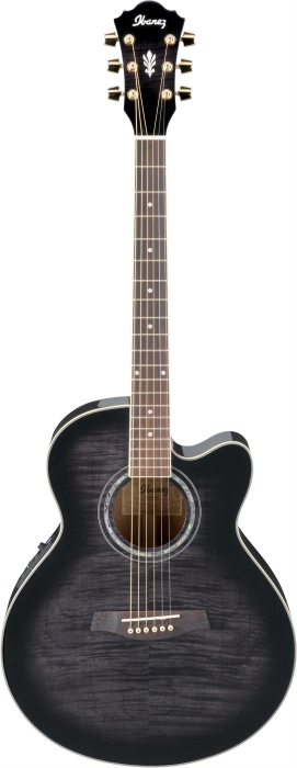 Ibanez AEL-20E TKS electro acoustic guitar