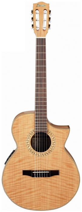 Ibanez EWN30SYE NT Exotic Wood