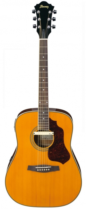 Ibanez SGE120 ATN