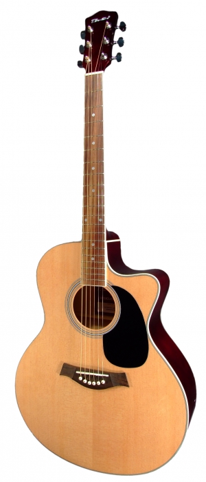 T.Burton Riverside acoustic guitar