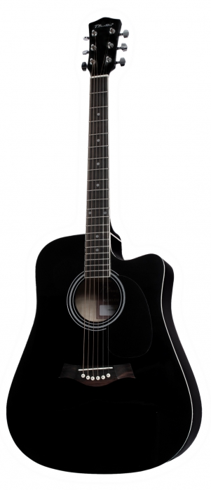 T.Burton Greengo W C BK acoustic guitar