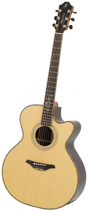 Furch S25-SR Cut acoustic guitar