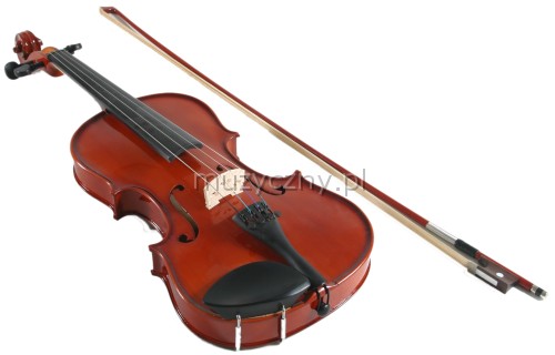 AN school violin 4/4 with case