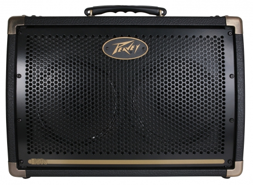 Peavey Ecoustic E-208 acoustic instruments amplifer