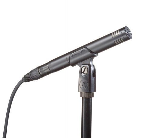 Audio Technica AT2031 Condenser Microphone