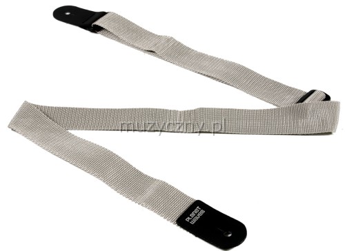 Planet Waves PWS105 Polypropylene Guitar Strap (silver)