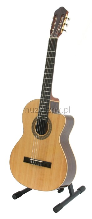 Baton Rouge LM5 Speci Cut P classical guitar