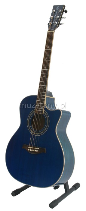 Baton Rouge P4 acoustic-electric guitar