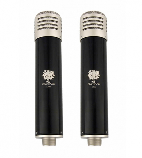 CharterOak S600 two tube condenser microphones
