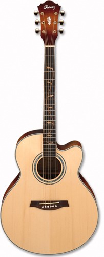 Ibanez AEL40S DVS acoustic guitar with EQ